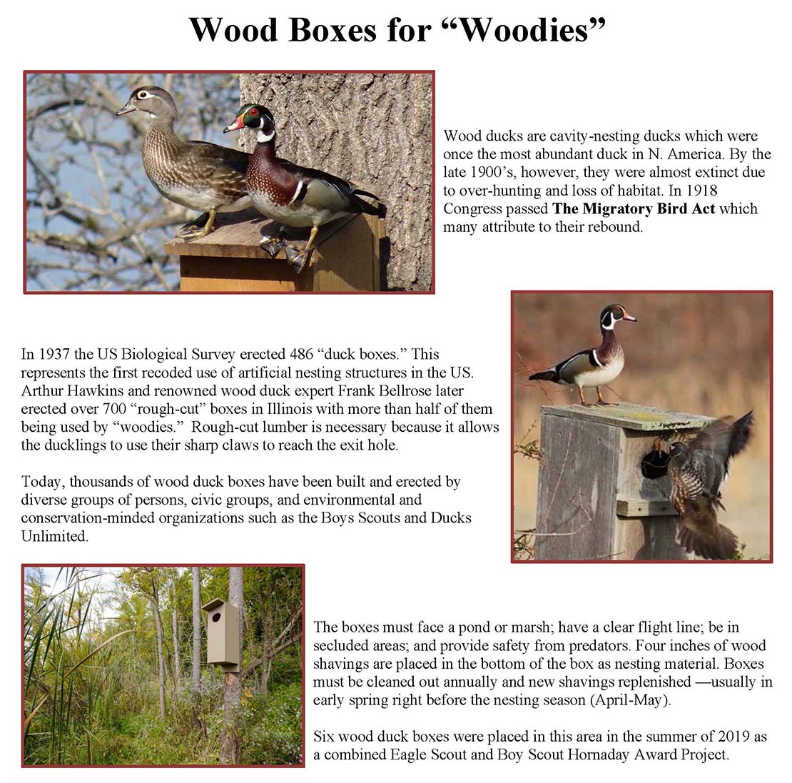 Educational Sign Design small